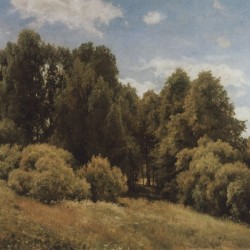 The glade